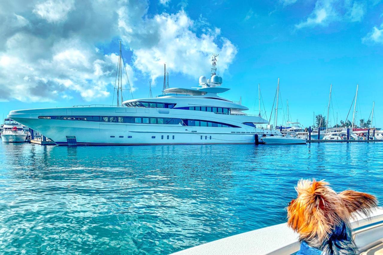 Sunrise Suites - Butterfly Nest #107 Key West Exterior foto